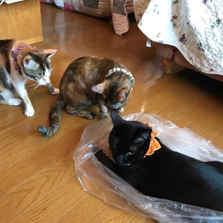 8089190c 849c 490a a2e7 0d3ce307aa6e 1629792479904