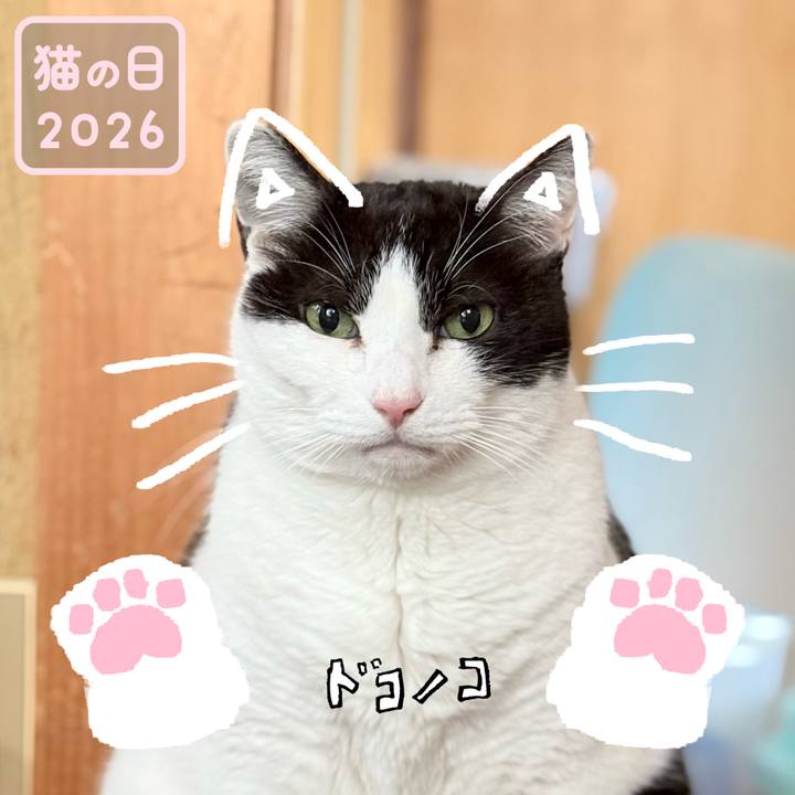 80892395 28ed 41f8 9f15 ce8816b22443 1771724479090