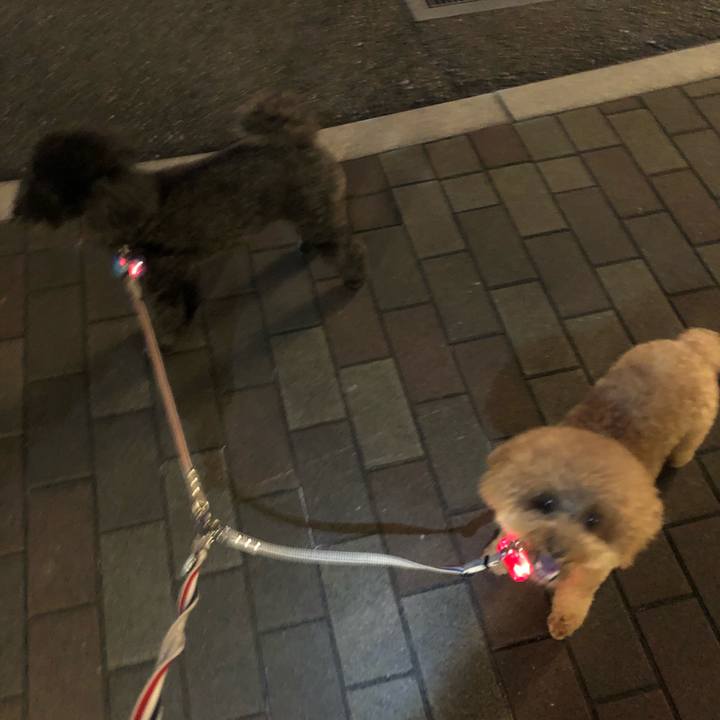 80893c5f 55b5 40d7 99a8 b82b59bc5a42 1600078438849