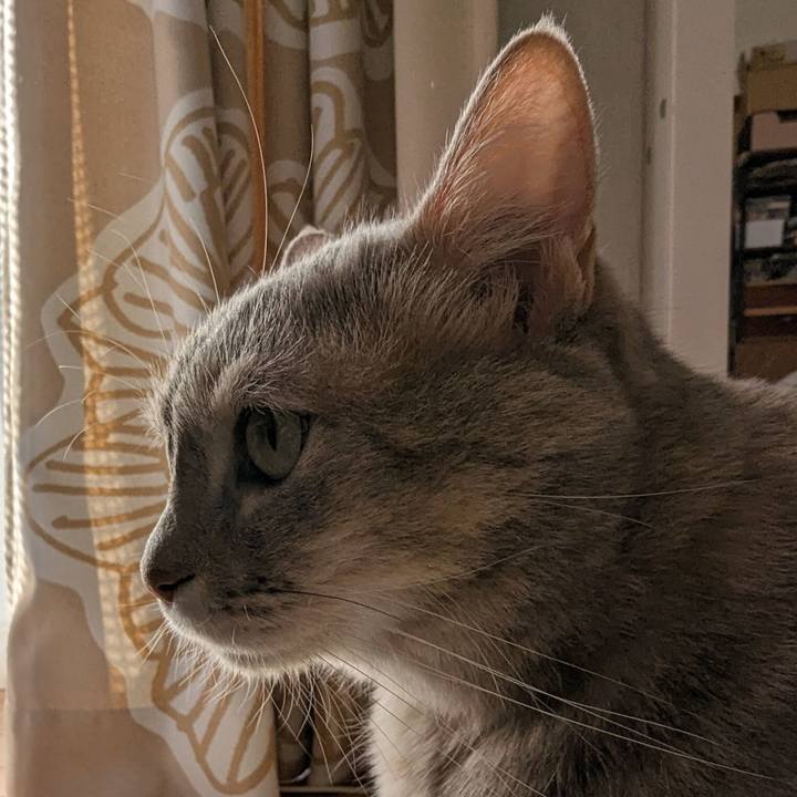 80894be4 5278 4330 9ecd e35d8e1c135a 1697292121500