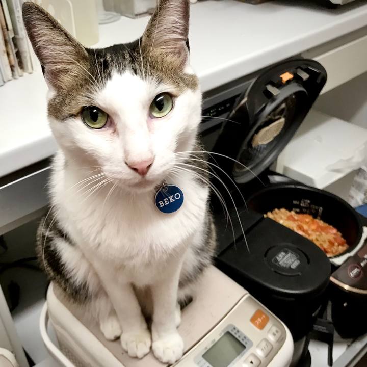 80894c56 60a3 4d07 a3fd 7e6f47b9e9d6 1631197147293