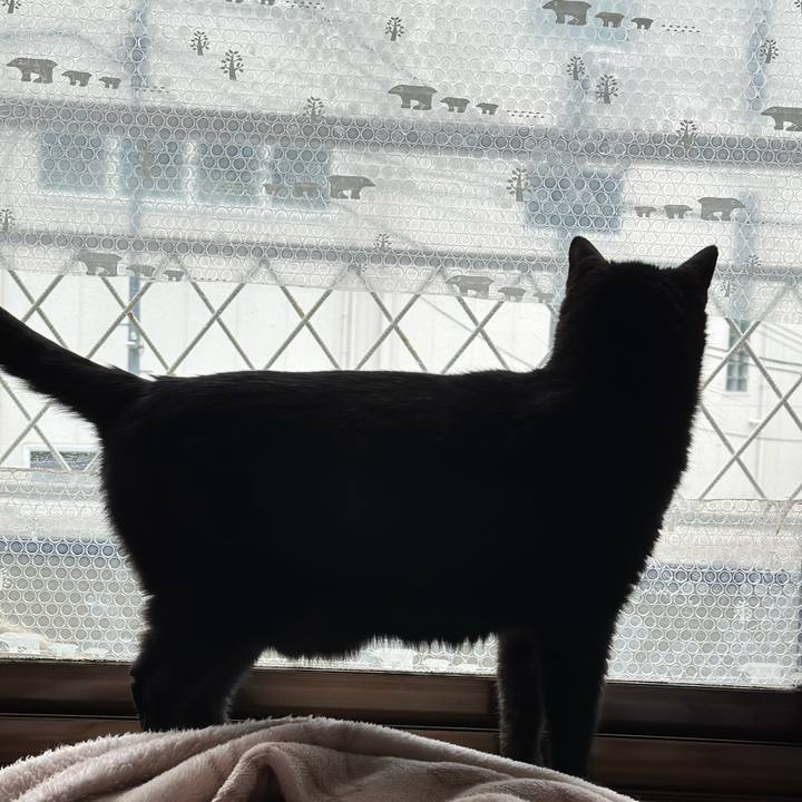 80897acc 2f24 4798 8bbc b119c12a5ddd 1679623832344