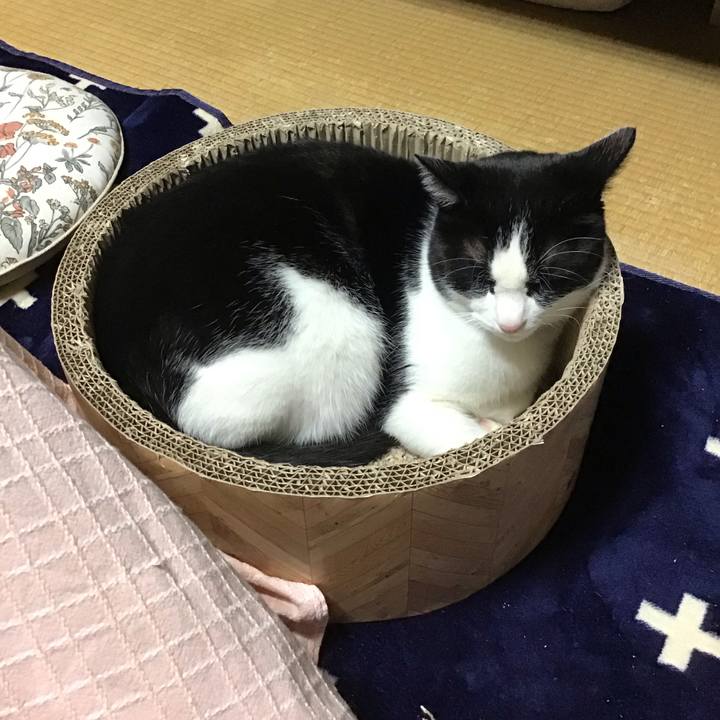 80899269 2404 48fb a19b bda834918053 1704018628901