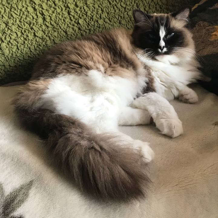 8089d5e3 cdad 4b68 bcc0 927678155ea5 1522329924591