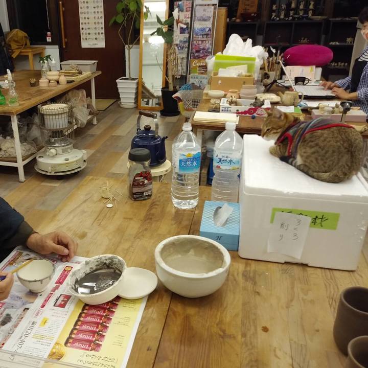 8089e140 9b62 4e3a 81c0 3ee1cf6ef688 1586582299158