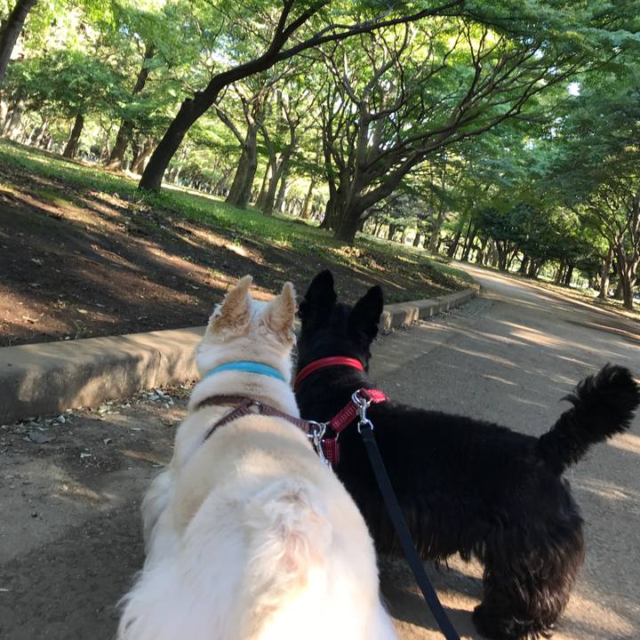 8089fd5d 66fb 4ac8 a269 65c6021fa11a 1538471480641