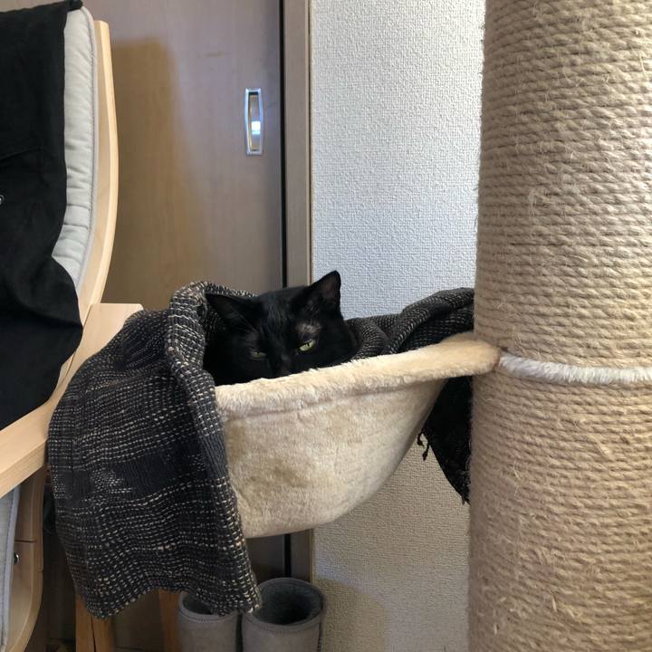 808a2052 badf 4fba a739 d901cae98483 1639960480631