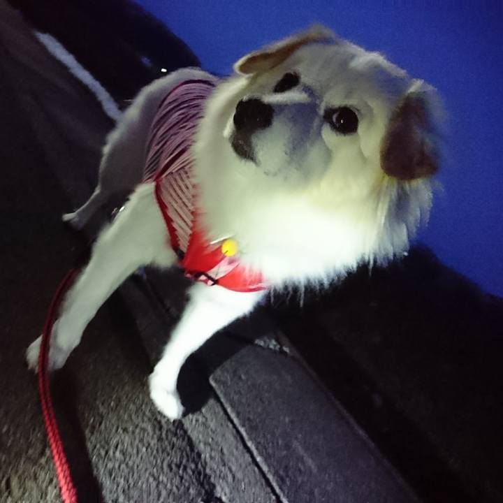 808a384f c6cb 40d0 bd94 3fd455acd55c 1516571572007