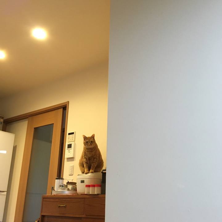 808a417c bb64 4692 b7bb cc6a857ba221 1612677230981