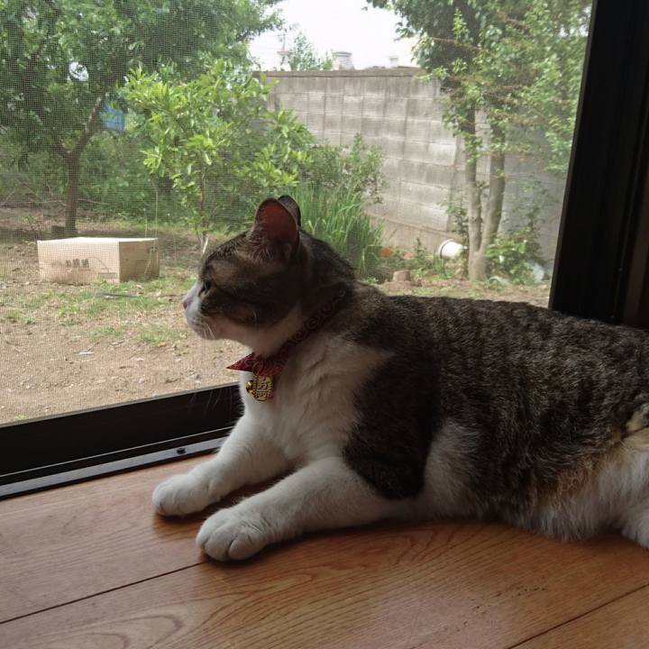 808a44a6 95c4 42d9 a85e 9e7c0e865536 1526517668216