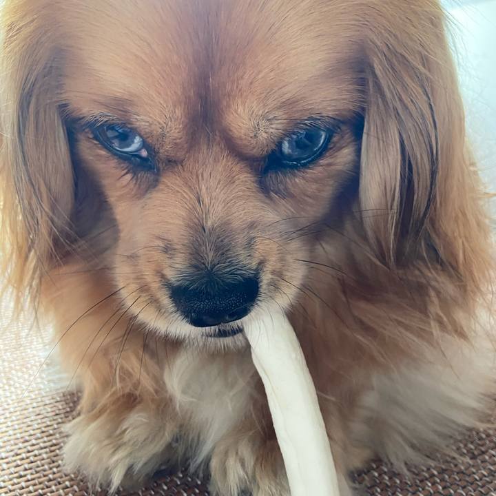 808a555b 2c28 44ed a757 879943e54d34 1588725243979