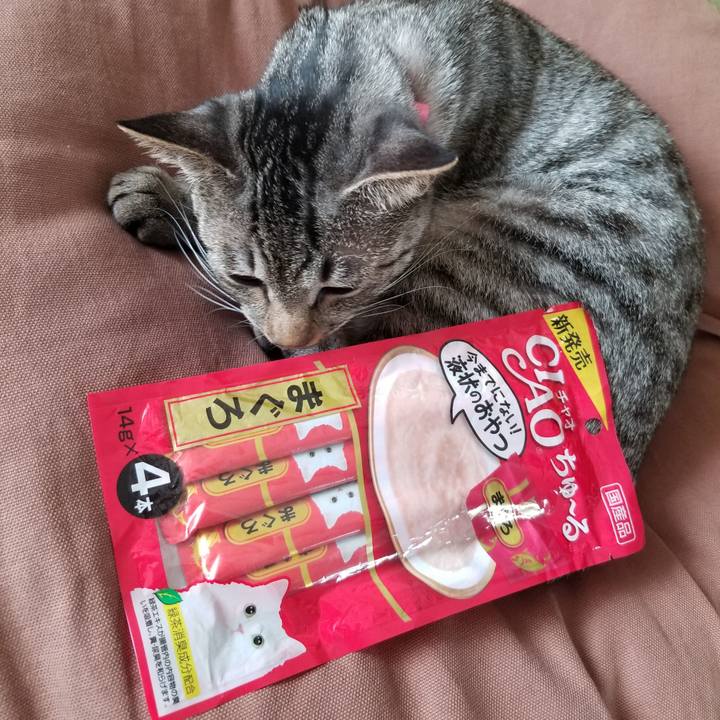 808a70ee 46e4 421a 9ddb b64908cce040 1681353511668