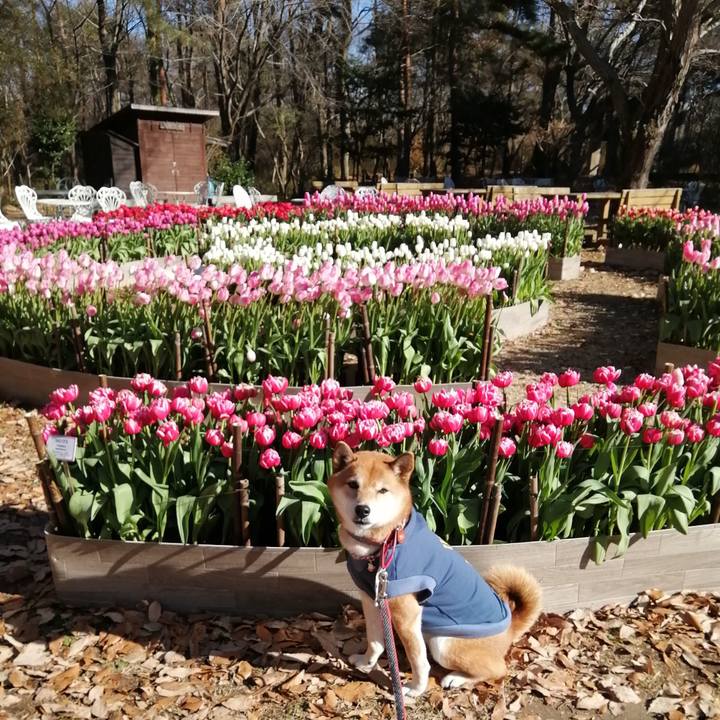 808ac62c 085e 4589 9ed1 77fe4978d6f8 1639998166285