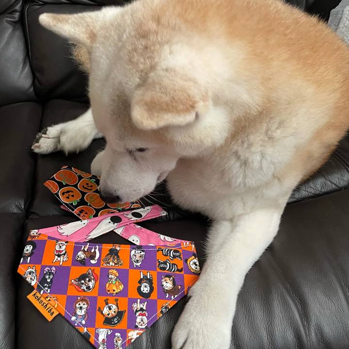 808af385 3a8a 451f b1a4 c271dcada1fa 1633859973127