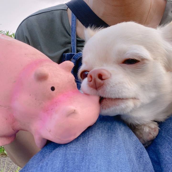 808af7ca 98e7 4f9e 9294 ffb0efcaace7 1624446125587