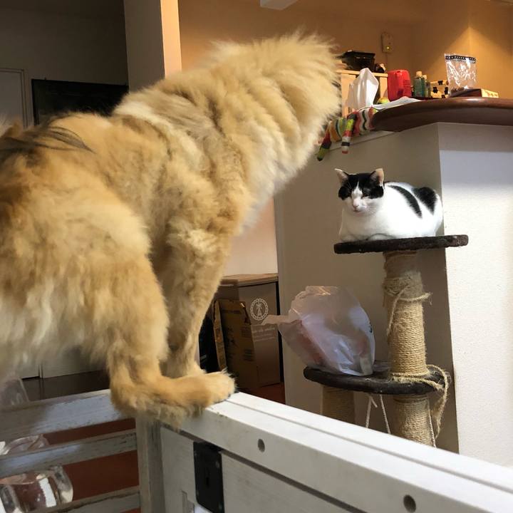 808b1793 bac3 45d5 aa96 0bbb33d0a277 1581293662626