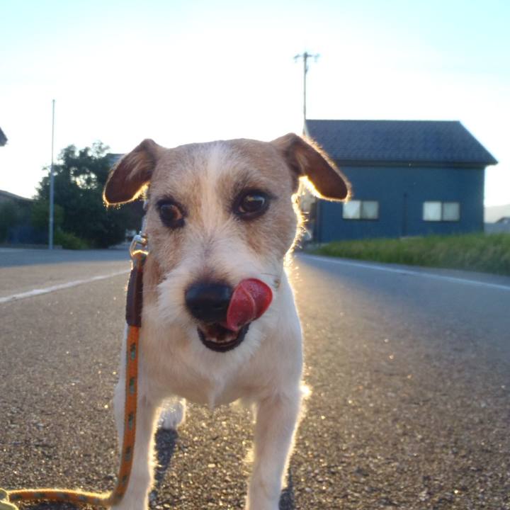 808b281c 88ea 4169 a548 4ec22f595d46 1535016540308