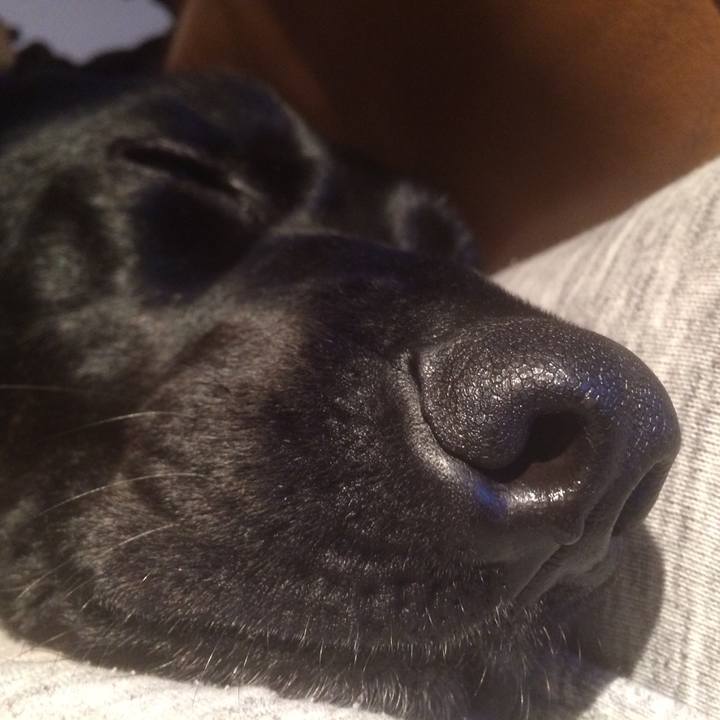 808b585d 3860 4a24 bf14 2d22479053e6 1520683911802