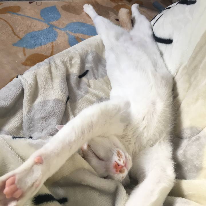 808b5d93 c6ac 49fc b18c 1cf4a7b1551f 1514974485700