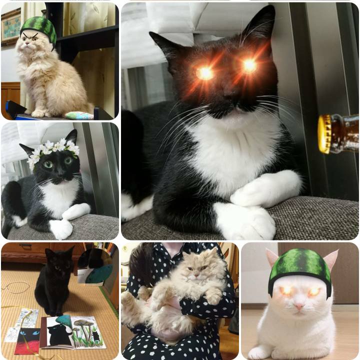 808b5e83 0bd8 4db3 8f1c 69fc483730fe 1563181104500