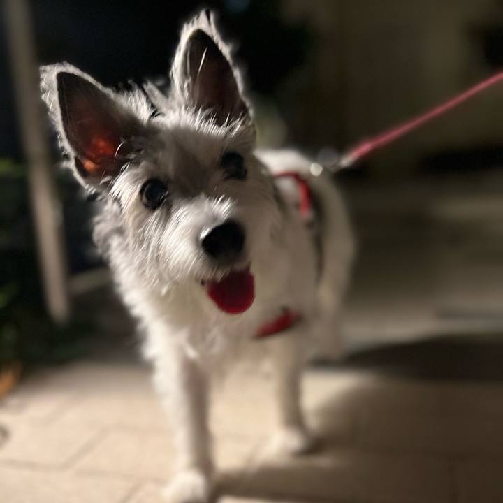 808bc174 972a 45e5 bcdf 8113a9d733fe 1685162793425