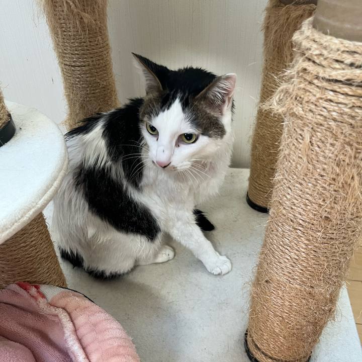 808bc436 7709 413b b2e2 9143db9c7872 1735442619760