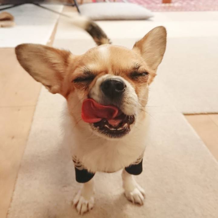 808be936 d49d 4b76 8586 53cd59d200f1 1579855157767