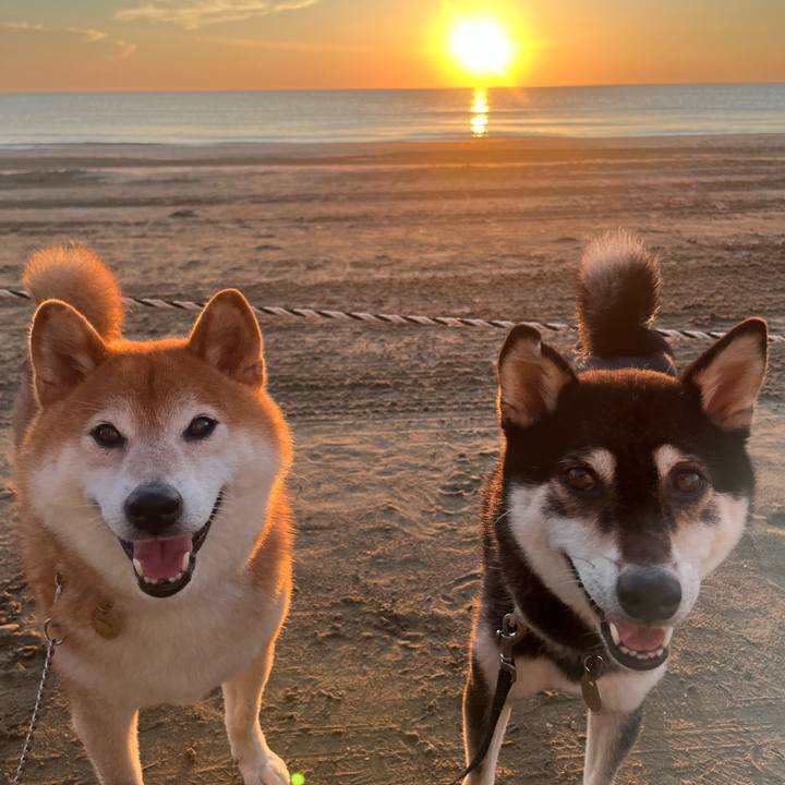 808c021d 7f41 424a ae6a cbfbb57fac49 1659844500083