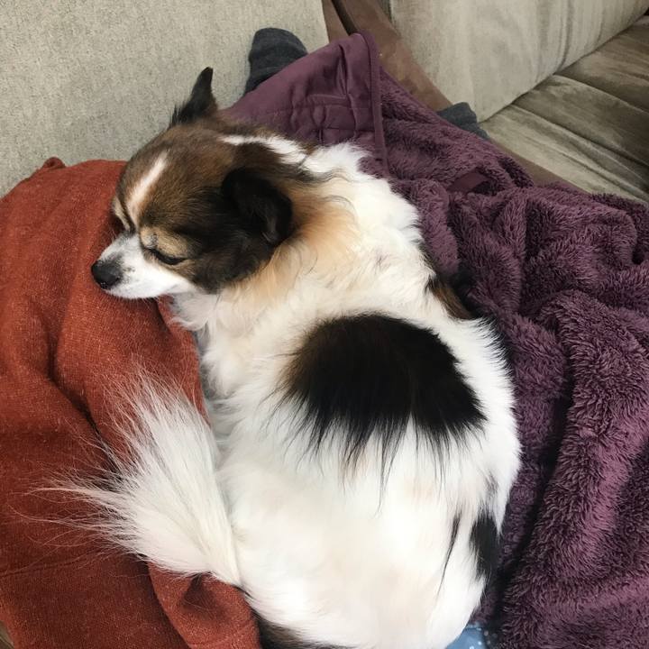 808c0984 2802 40e5 af5b d398425c02b4 1643071698361