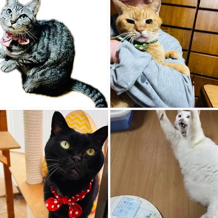 808c11a5 8898 4156 a653 7e15c3c01fc4 1762547911160