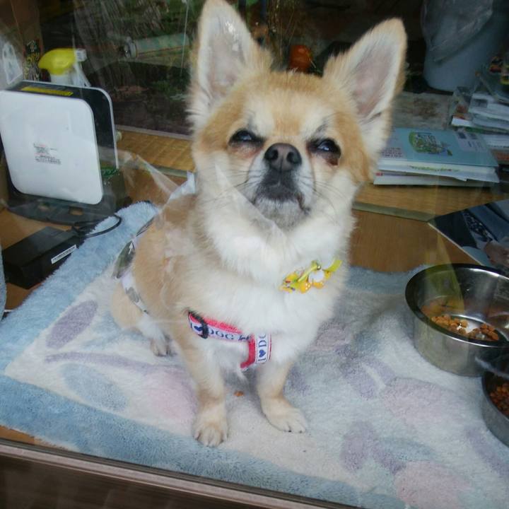 808c1cac 36df 429a a155 7566cfd01220 1523402293953