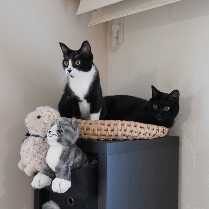 808c4462 9079 4804 b7bf 63db2fed867e 1608216631913