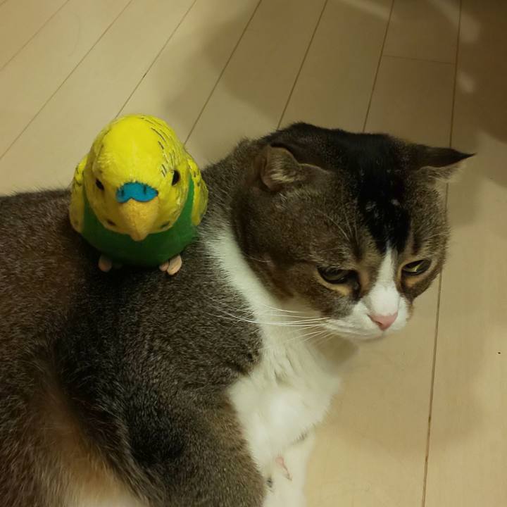 808c76c5 e414 4905 9f35 70cc959b9cc9 1631851840418