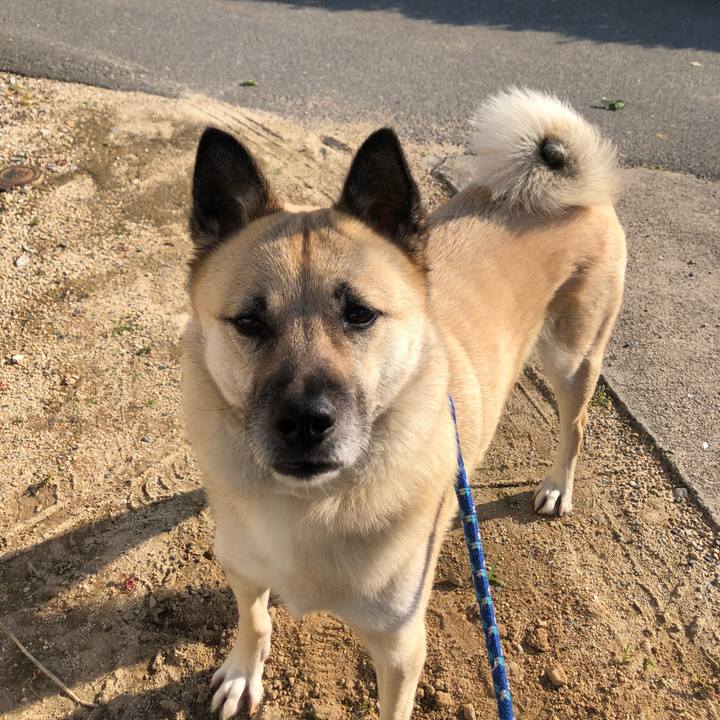 808c886a 4267 4b89 af9d 8e822bf9adeb 1622465387198