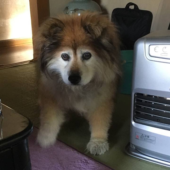 808cac62 4118 4dbf b052 81adf76678ad 1583481811385