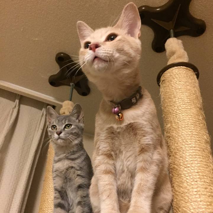 808cfd96 3876 4575 93b5 1d545dbbeada 1539008045266