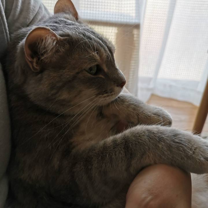 808d1c2d 7453 4ebf bdf4 79141bbe3116 1621755891908