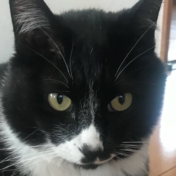 808d346e f66d 4a88 ae1d efe2a16e098d 1659757510433