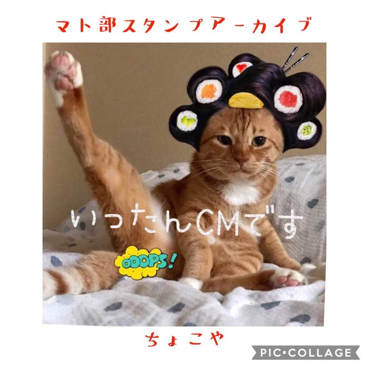 808d4e7f 92b7 4494 906d 96095ee96cb2 1578807078068