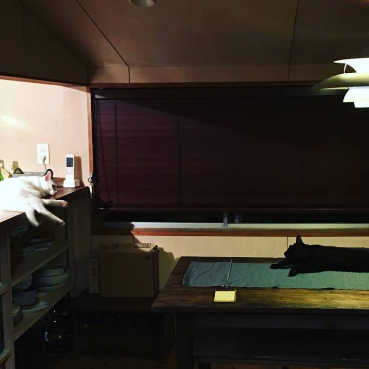 808d7dec ae54 4eb9 ad47 6a9bf7e28f44 1537100306411