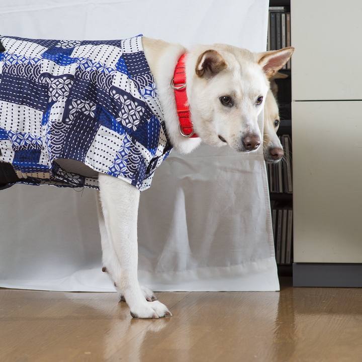 808d9957 4b9e 4b3b 9d1f 45ea71d9af9d 1528673559623