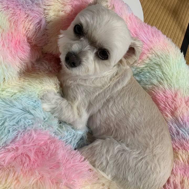 808dbc5d 13aa 423f a77c d3e8e752bce2 1632136626674