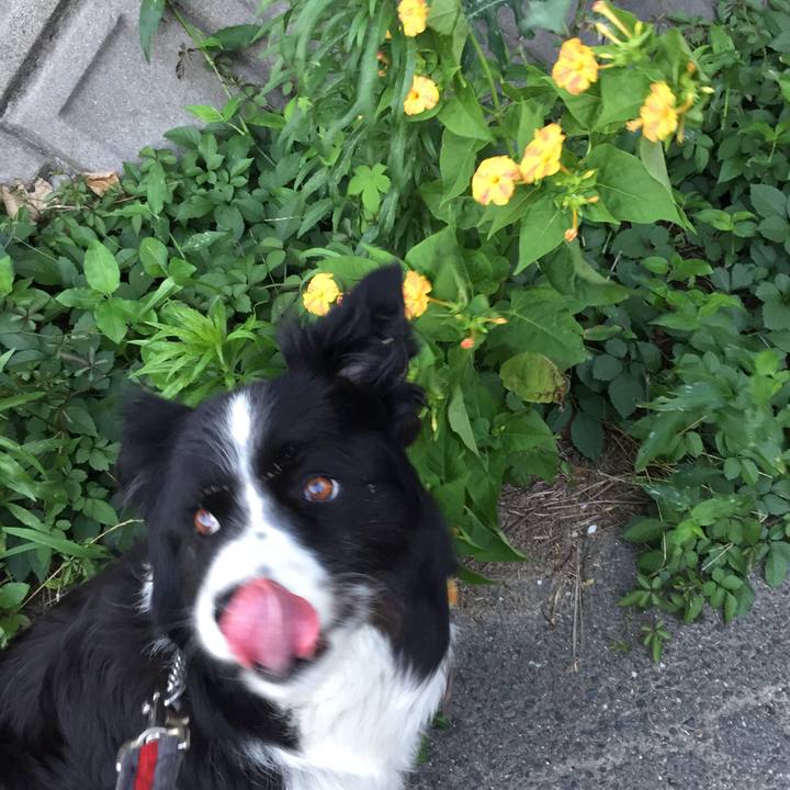 808dbd73 b273 4d7d afc0 c26e6fa62076 1562408530288