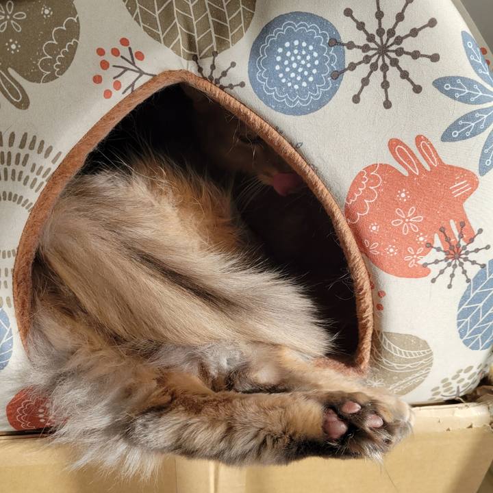 808dc680 ef5b 4eb3 8b96 c3743a8ccafd 1646027987636