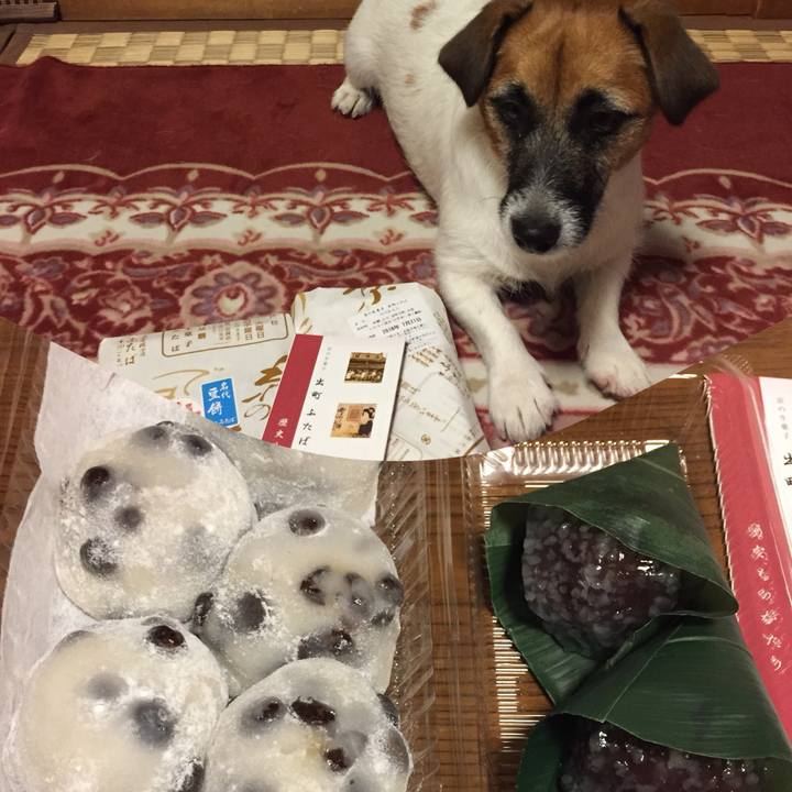 808dcba9 c716 4e3d a272 d8b6b5c83285 1532171781088