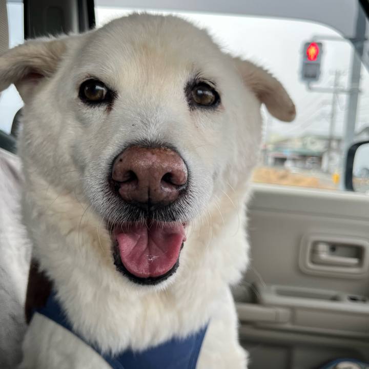 808e3bda 0a5f 488e aa22 05eb5e39fab9 1766015033629