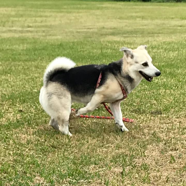 808e3fc5 0b4f 4a71 9f47 27fc9329b255 1543816941488