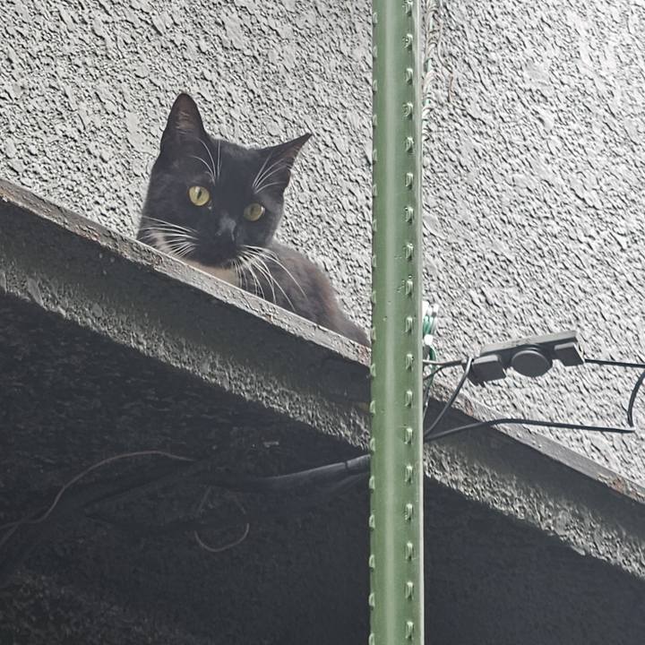 808e6274 144e 46fe 9293 f7dd0b77c4b8 1748667634018