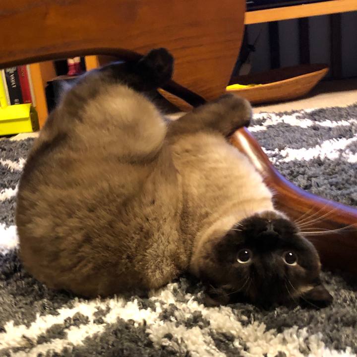 808e69ab ef20 42f5 a1ac ce1c662d188e 1617062726826