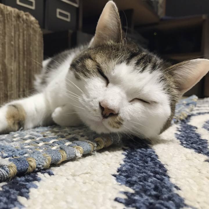 808e93a5 6023 41b8 bdea d264dcaa5e21 1557287342944